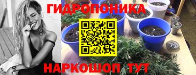 альфа пвп Лесосибирск