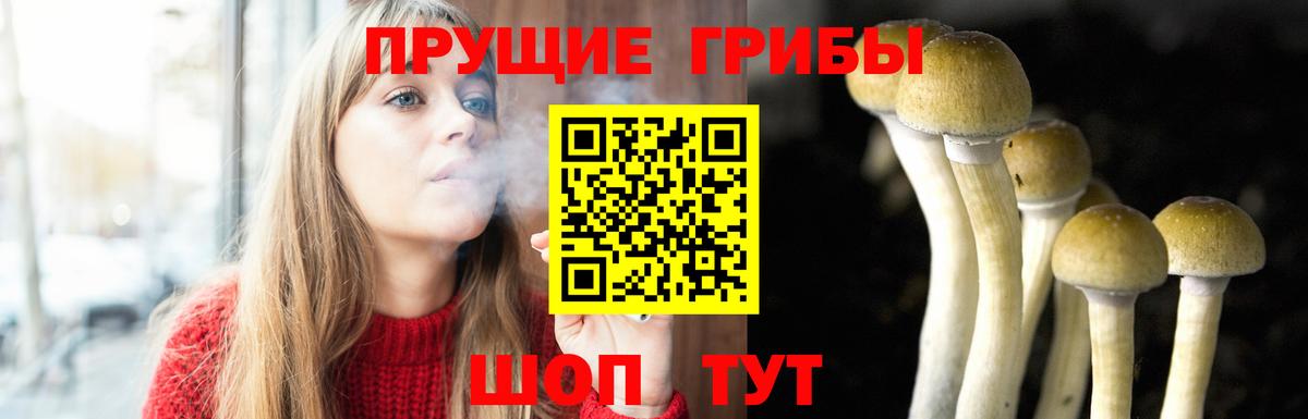 Галлюциногенные грибы MAGIC MUSHROOMS  магазин продажи   Вятские Поляны  Вход с VPN 